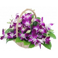 Purple Orchids - Basket Arrangement
